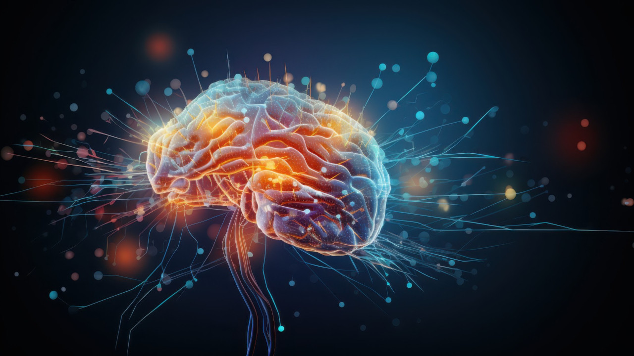 Daha fazla kas, daha az iç karın yağı: Daha genç bir beyin yaşı...