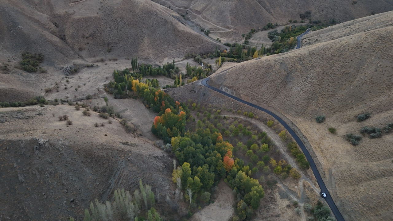 Babasından kalma araziden 8 ton ceviz topladı