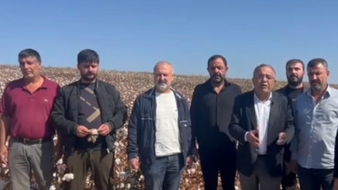 CHP'li vekil tarladan uyardı: Üretim sıfıra inecek