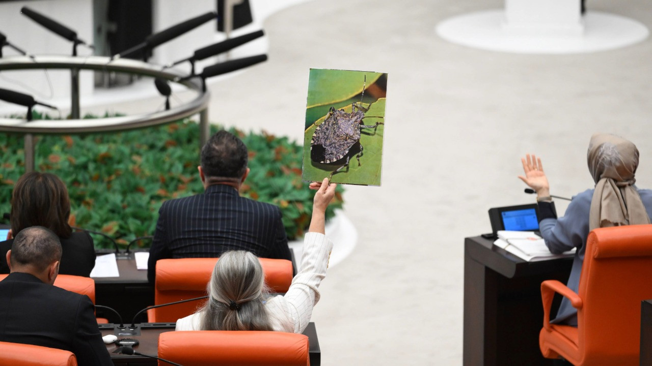 Tepki büyüdü: Sayın Bakan sen hiç eline kokarca aldın mı?