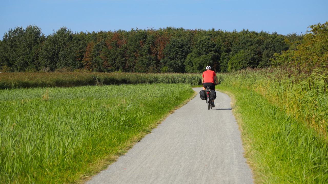 Alkollüyken bisiklet süren öğretmen görevden alındı