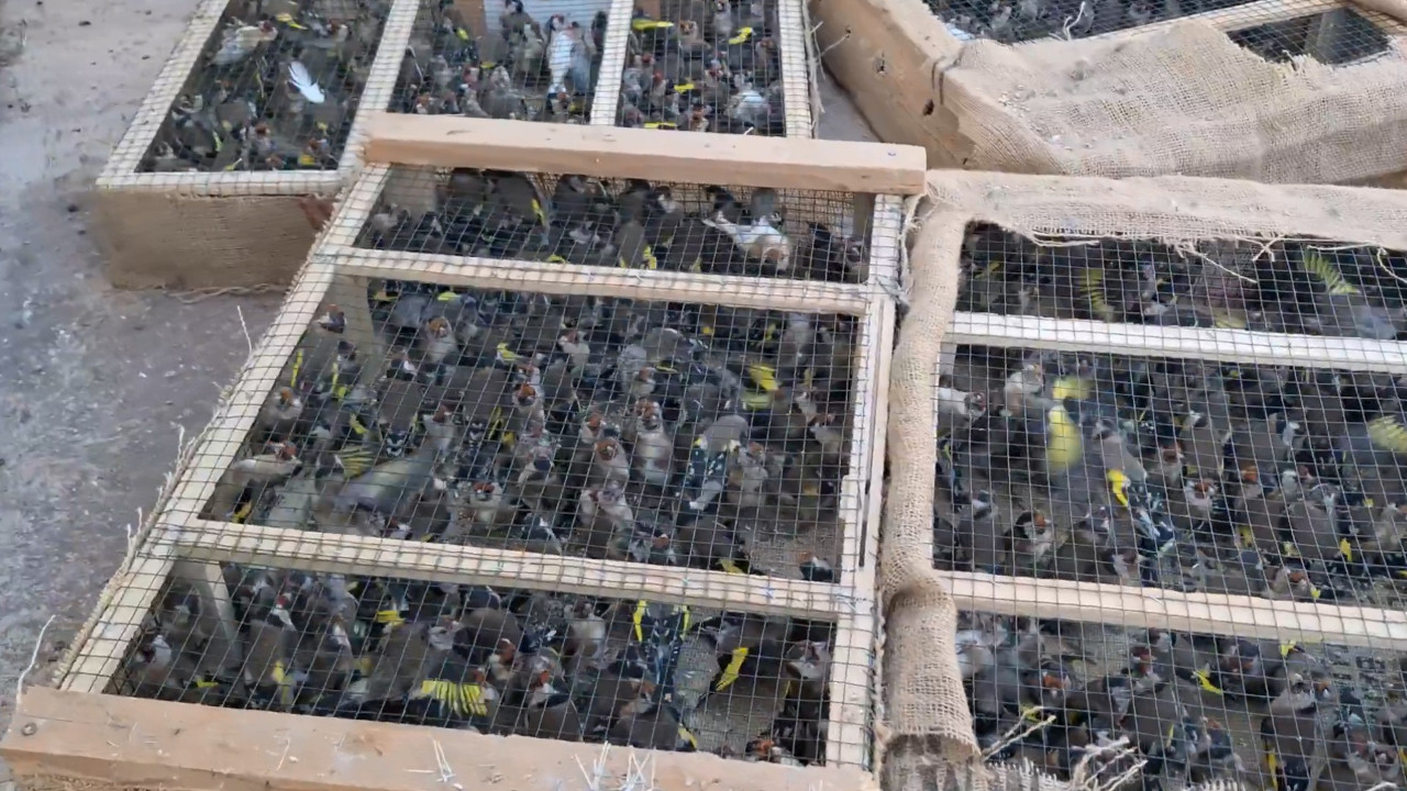 Son anda yakalandılar: 10 milyon 897 bin TL ceza kesildi