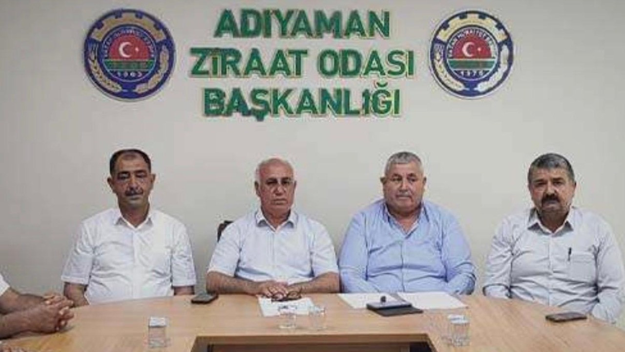 Adıyaman’da iki tip tütün alımları durduruldu, 18 bin aile endişeli