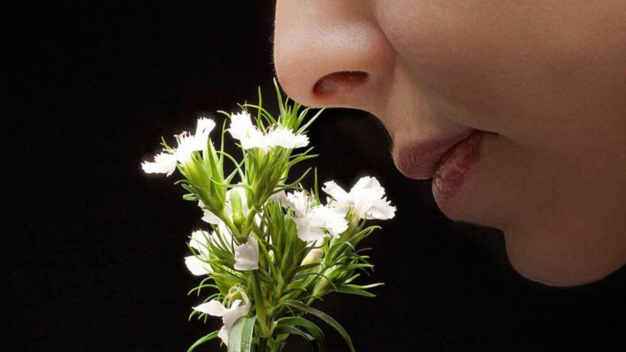 Çarpıcı araştırma: Koku duyusunu kaybettiğinizi fark etmemiş olabilirsiniz