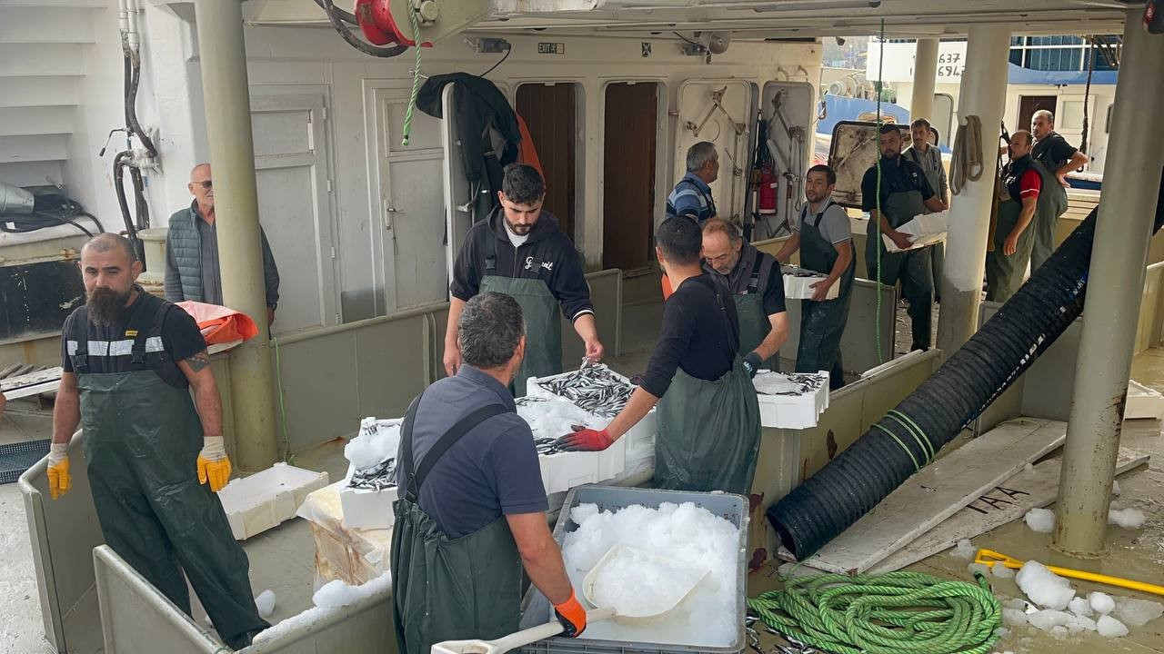 Karadeniz hamsiye doydu: Denizden dolu kasalarla döndüler