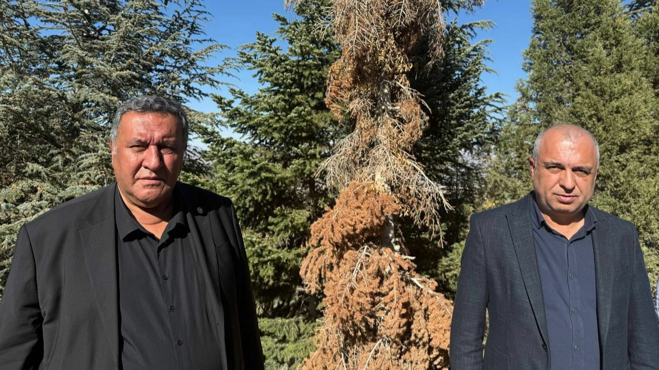 CHP'li Gürer: Acil mücadele şart, yoksa Toroslar'da orman kalmayacak