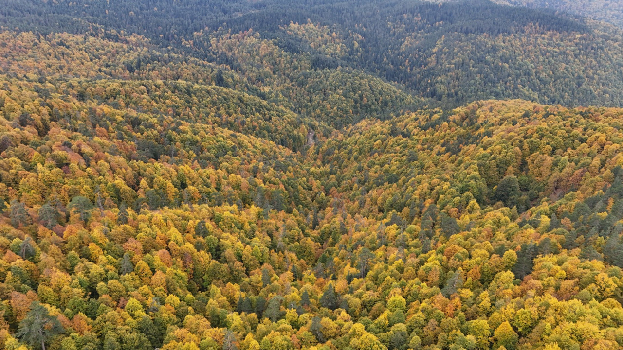 Karabük'te renk cümbüşü