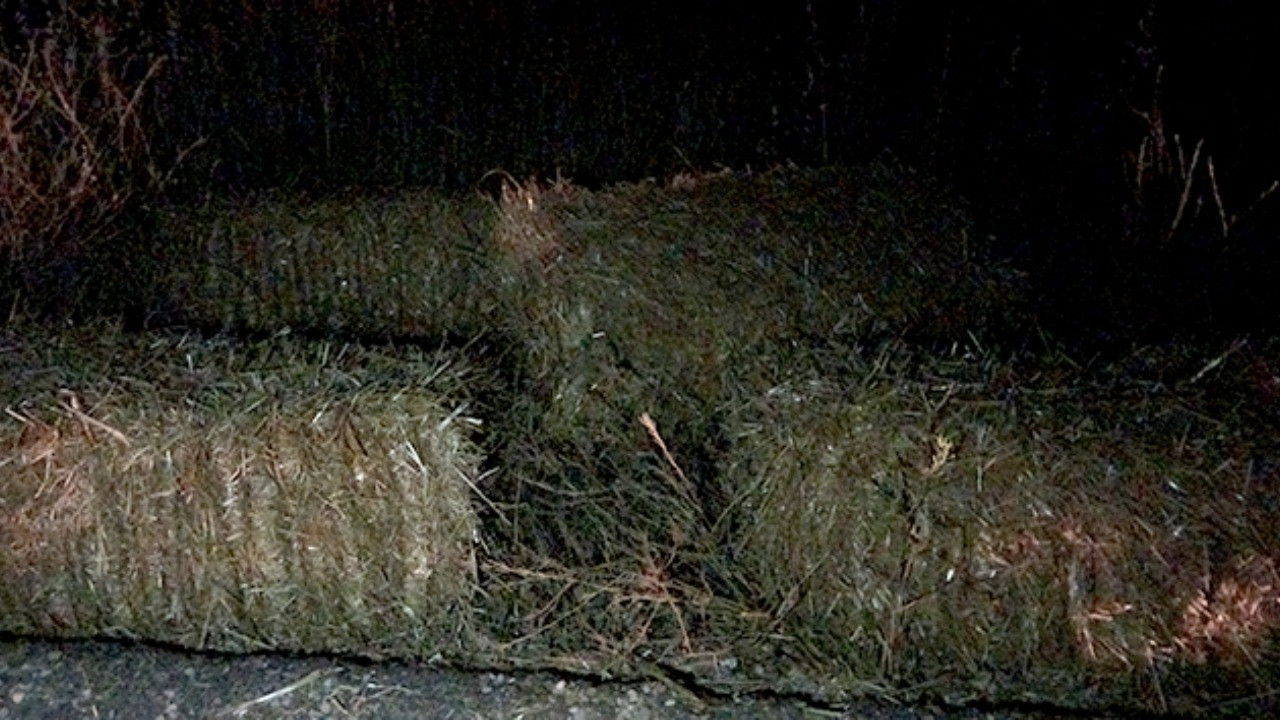 Balyaların altında kaldı, hayatını kaybetti