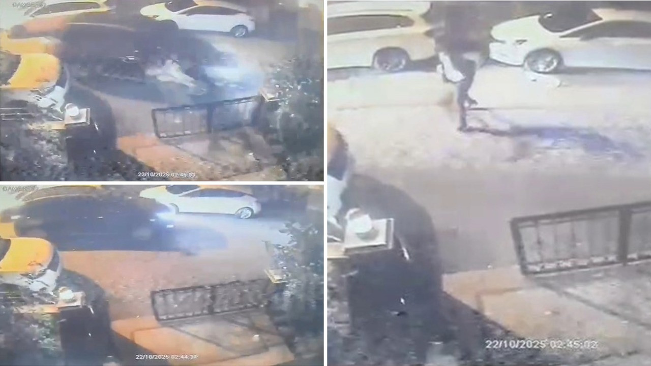 Tartıştığı kişiyi ezerek öldürdü: Cani sürücü yakalandı