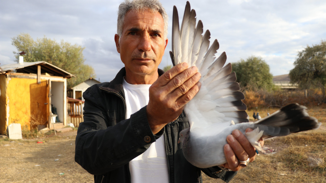 Yurt dışından da talep görüyor: Fiyatı 600 bin TL'ye kadar çıkıyor