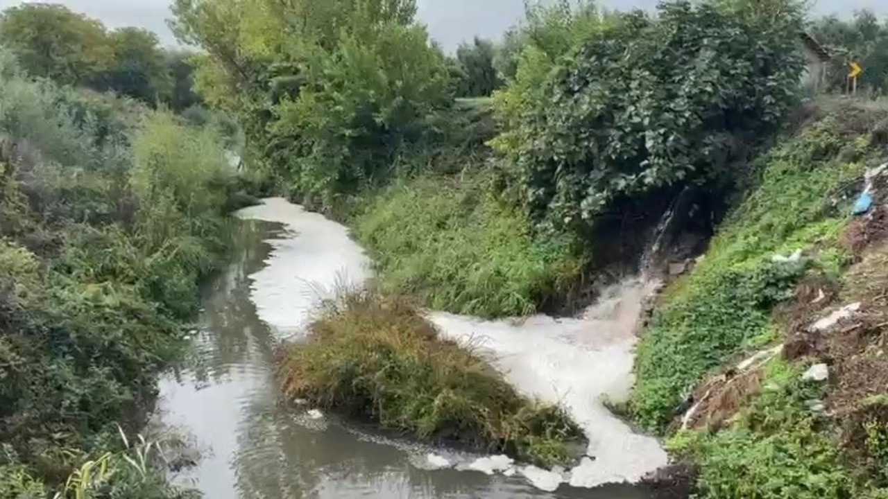 Endişe büyüdü: Gemlik Körfezi alarm veriyor