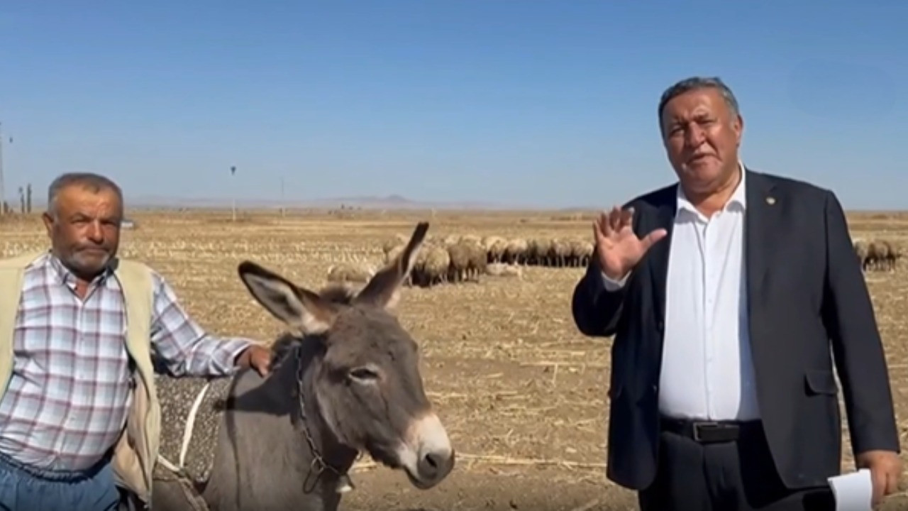 CHP'li vekile anlattı: 1 inekle geçiniyordum, şimdi 20 inekle geçinemiyorum