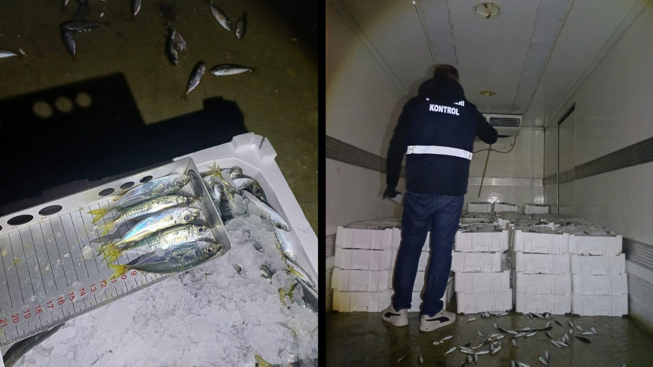 İstavrite boy denetimi: 845 kilo balığa el kondu