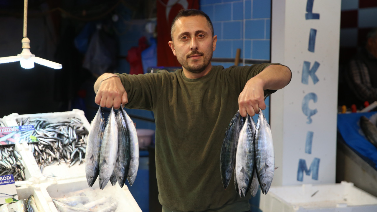 Palamutta sert düşüş: Fiyatlara yansıdı