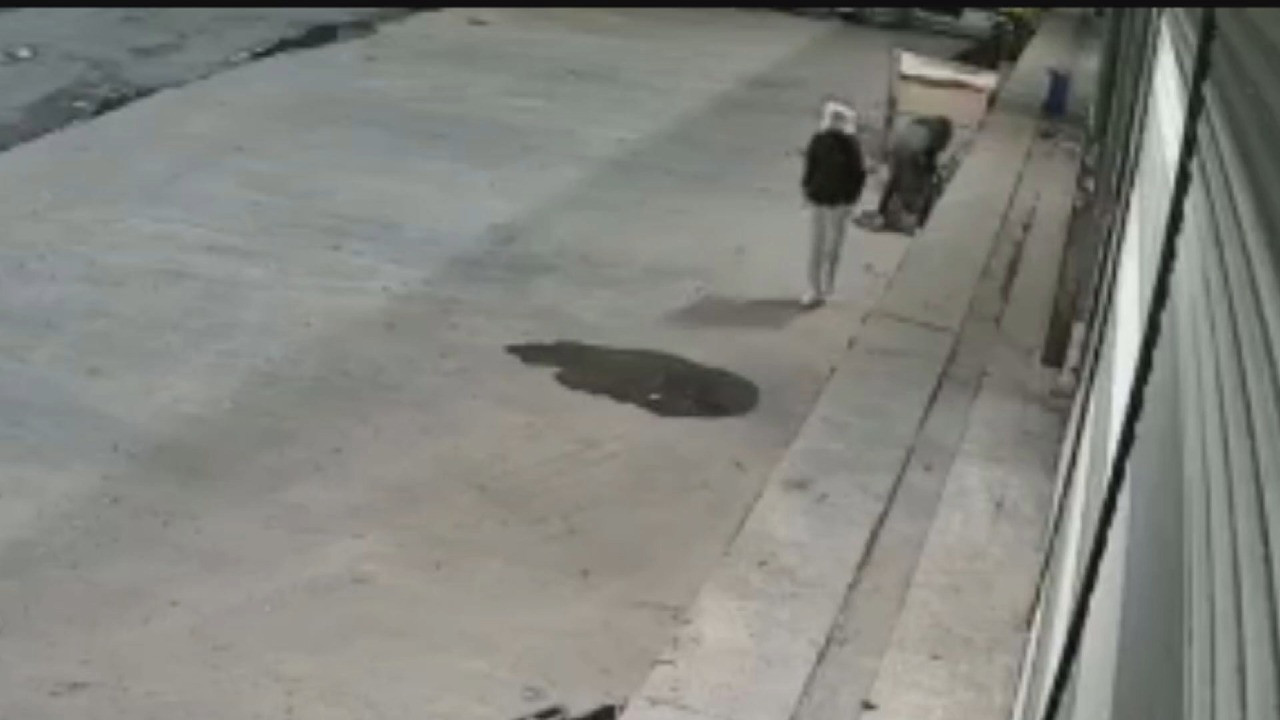 Kafasına poşet geçirip güvercin çaldı