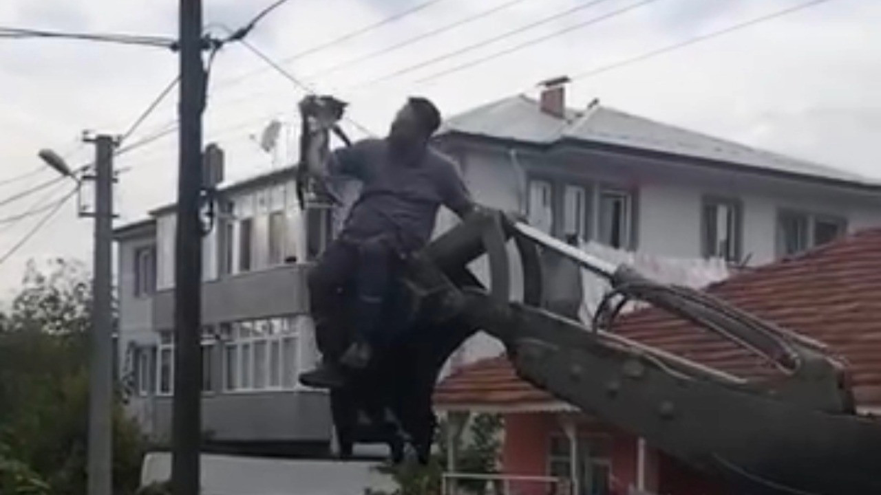 Köpeklerden kaçarken telefon direğinde mahsur kaldı