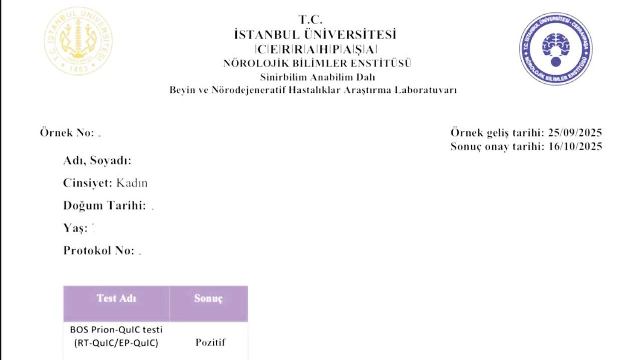 Bolu’da da bir ‘deli dana’ vakası çıktı