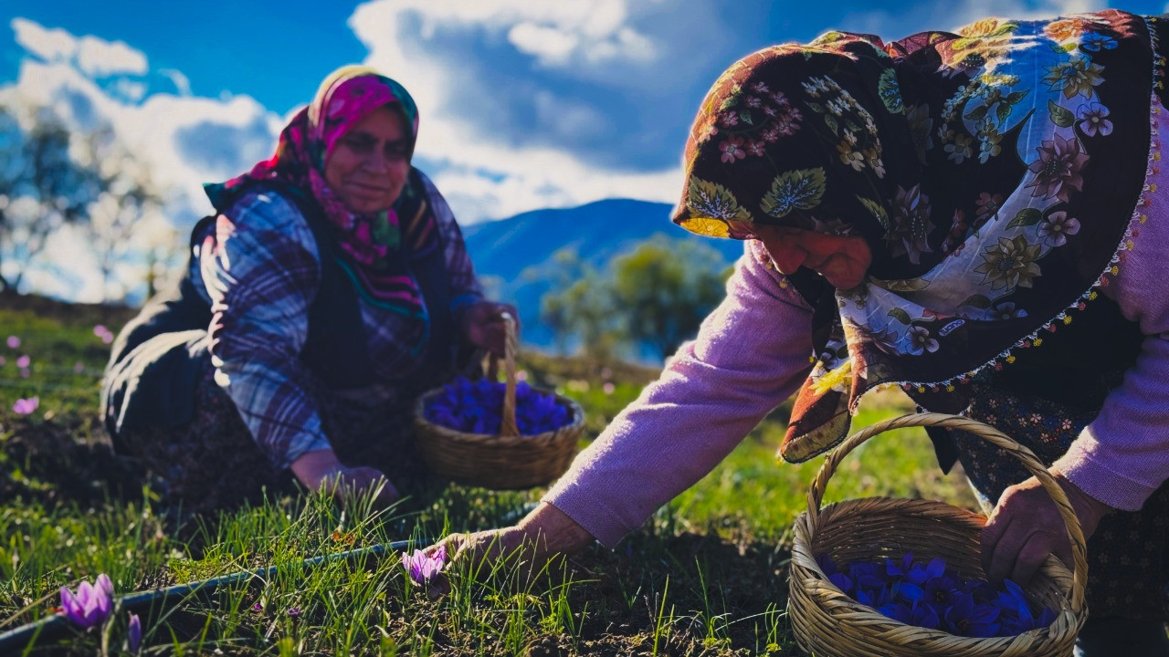 'Talep her geçen yıl artıyor' deyip fiyatını açıkladı: Gramı 600 TL