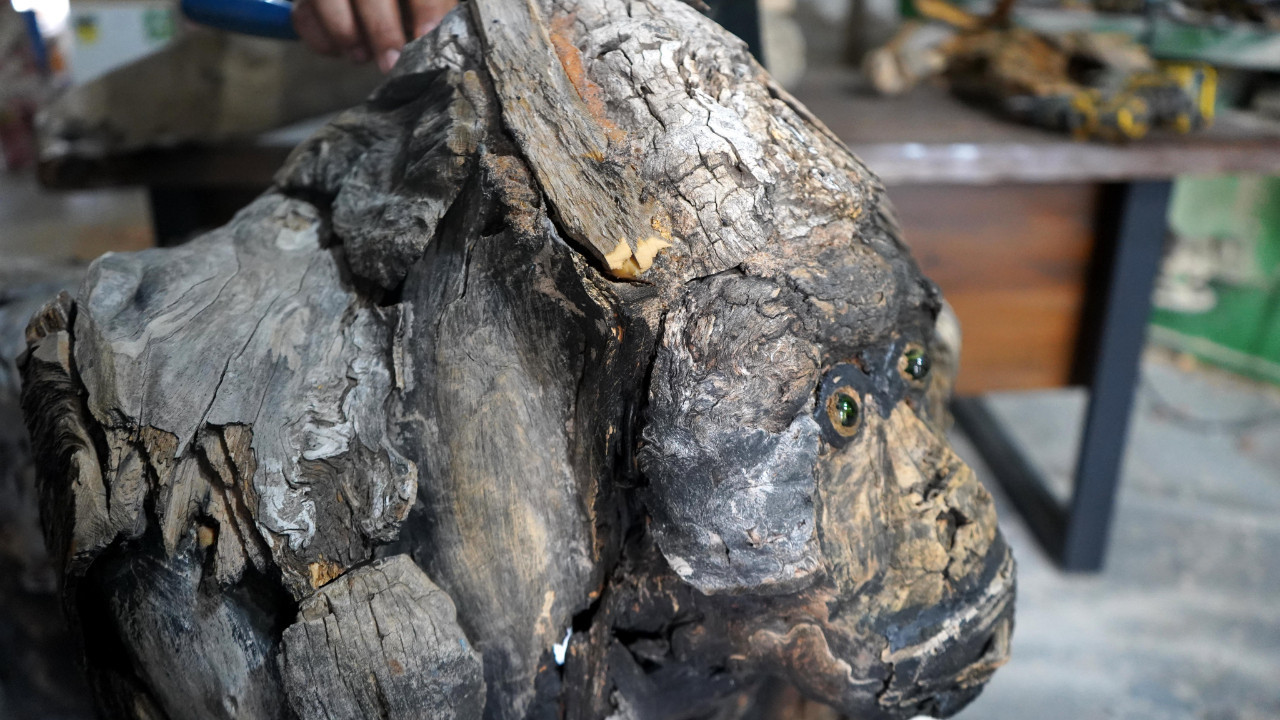 Doğanın atıkları sanata dönüşüyor