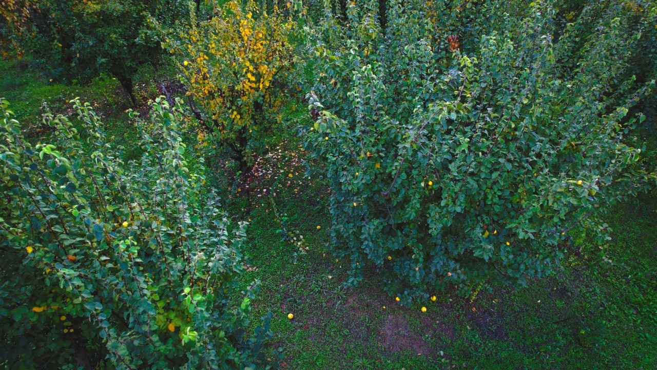 Dert yandı: Her sene 35 TL'ydi, bu yıl 150 TL oldu