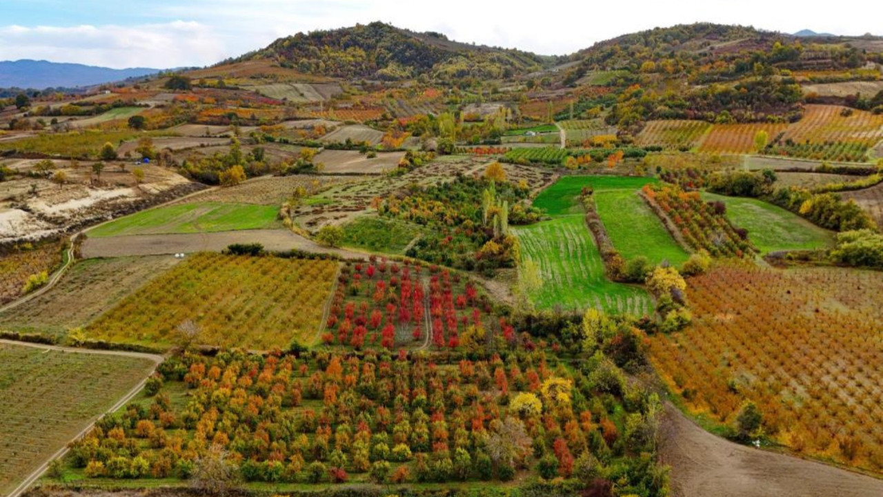 Uludağ eteklerinde sonbahar şöleni: Renk cümbüşü hayran bıraktı