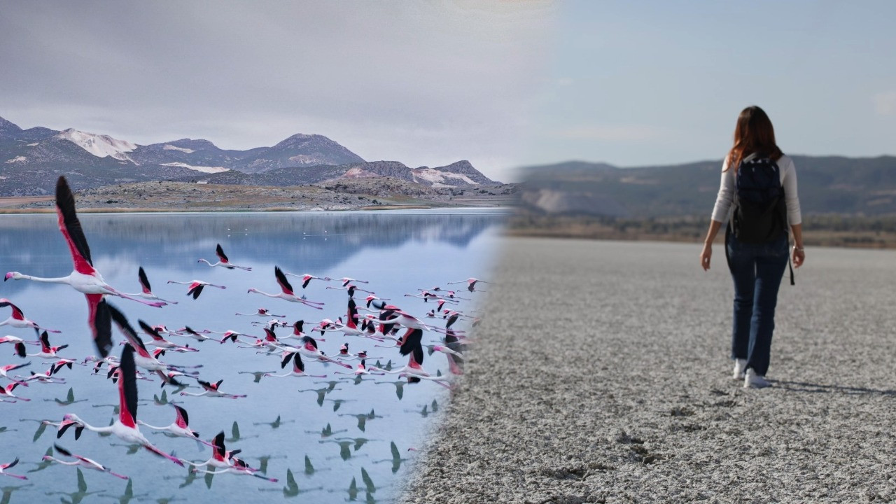 Bir zamanlar binlerce flamingo vardı… Şimdi sadece ayak izleri kaldı