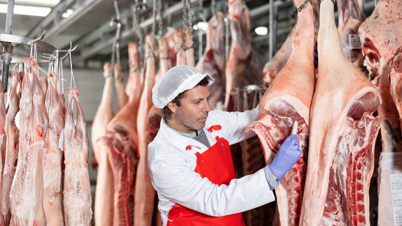 Almanlar et yiyemeyen Türkleri konuşuyor