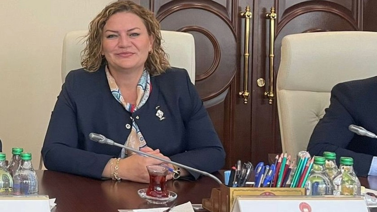 Havvanur Yurtsever'in HSK üyeliği Resmi Gazete'de