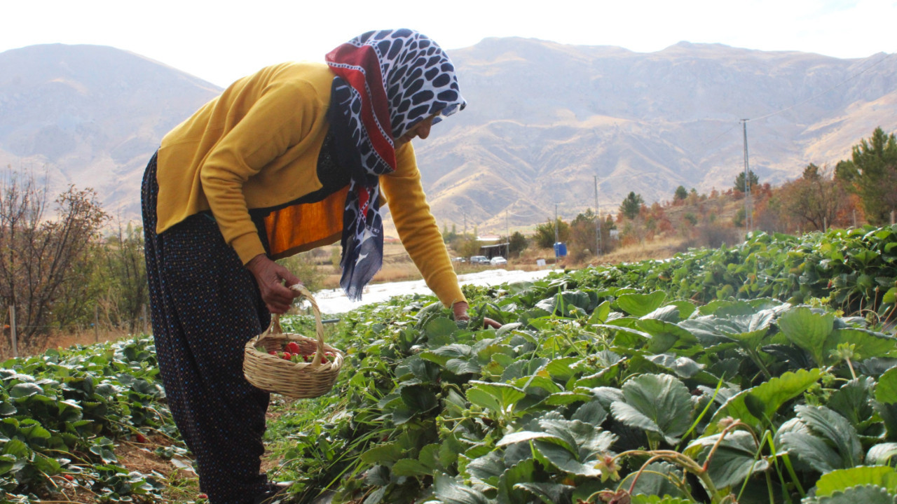 Hobiden kazanç kapısına: Malatya’da kendi markasını yarattı
