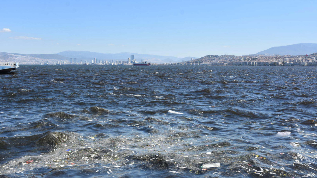 İzmir Körfezi’nde endişe veren görüntü: Deniz kahverengiye döndü