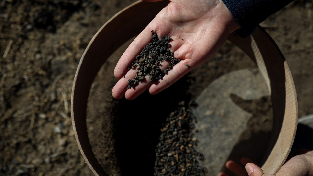 Van’da 5 bin yıllık arpa taneleri gün yüzüne çıkarıldı