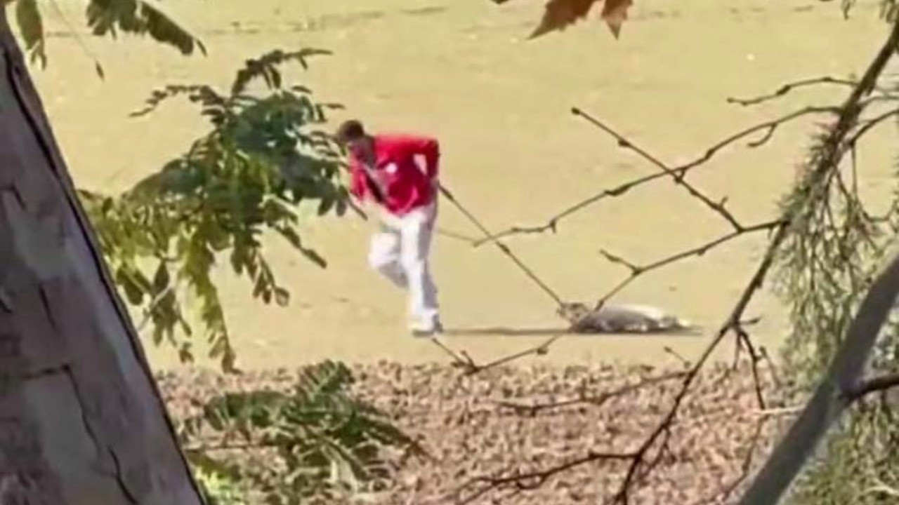 Sokak köpeğini iple sürüklemişti: Adli kontrolle serbest