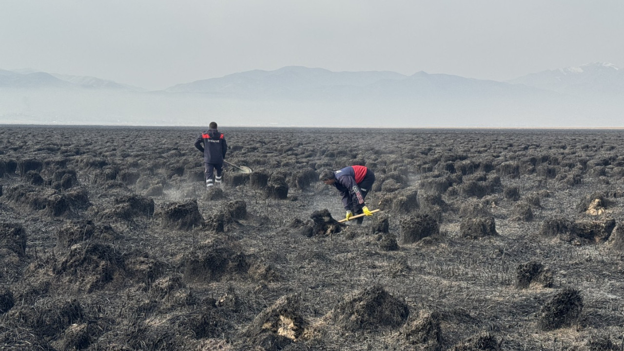 Binlerce kuşun yaşam alanı kül oldu