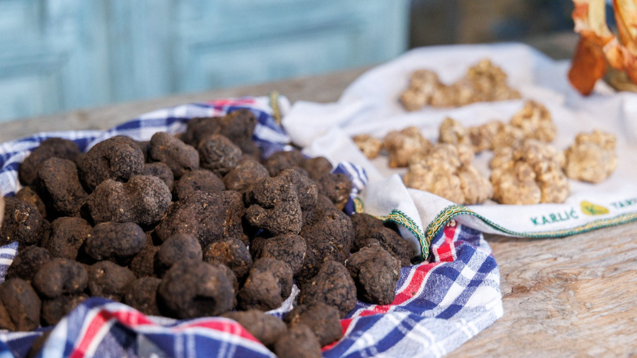 Dünyanın en pahalı lezzetlerinden biri: Kilosu 7 bin euro