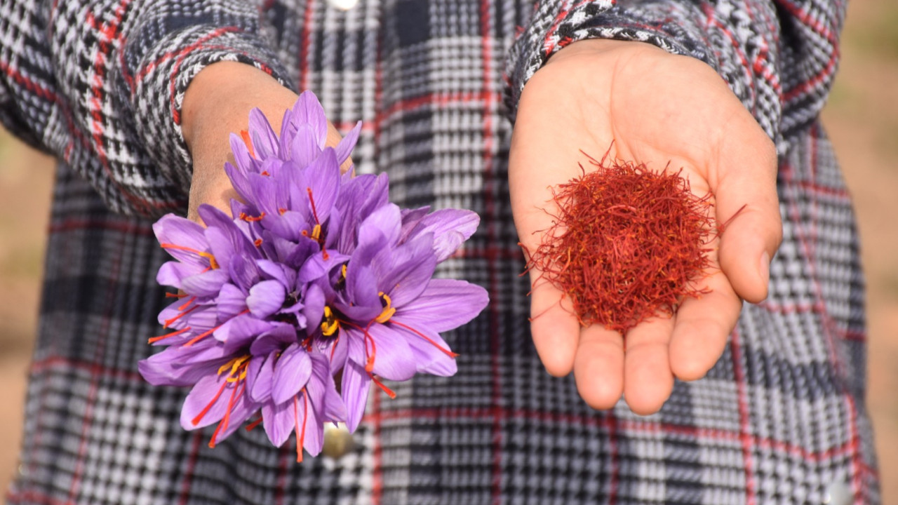 Eşi beyin tümörüyle savaşırken bulamadı, artık kendi üretiyor