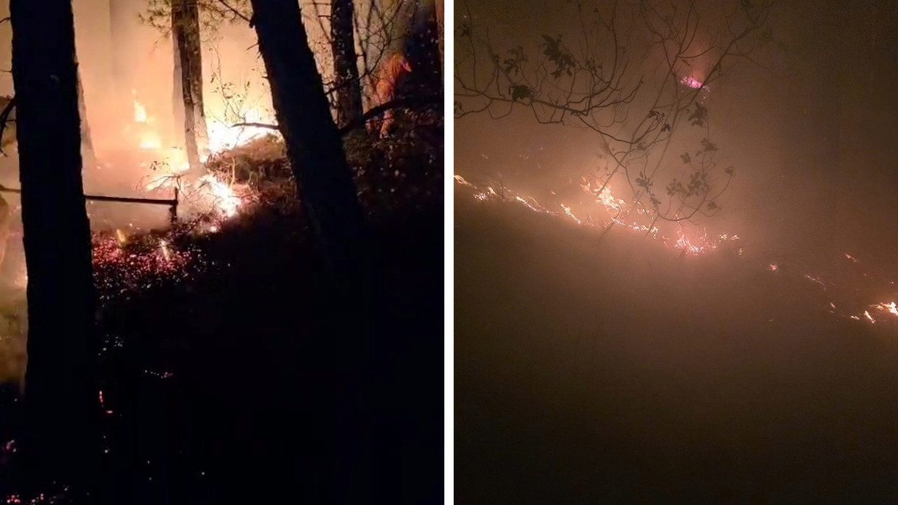 Hatay'da yıldırım yangını