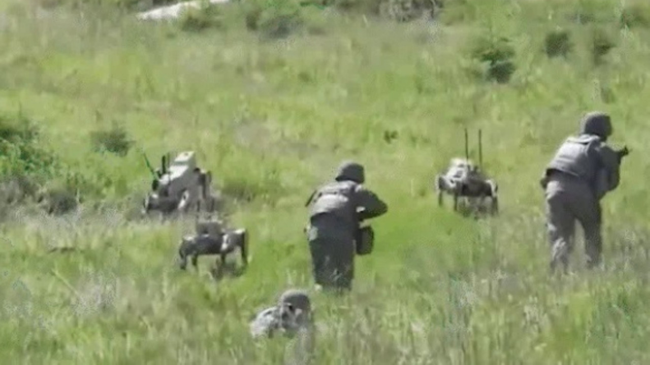 Robot kurtlarla işgal provası