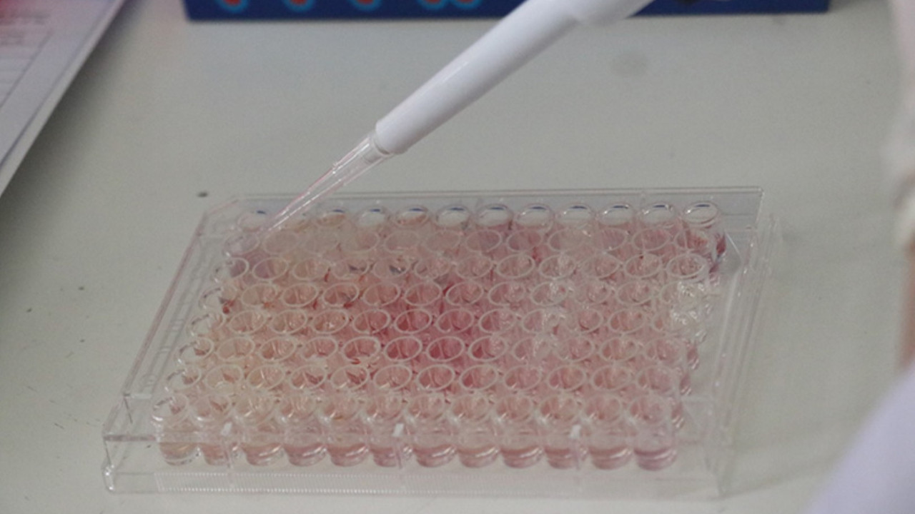 Mutluluk hormonunun kanserle sürpriz ilişkisi keşfedildi