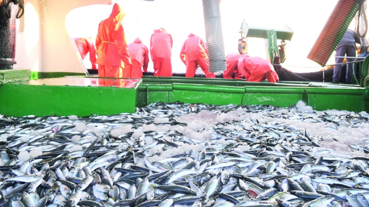 Türkiye, Akdeniz Genel Balıkçılık Komisyonu Başkanlığı'na seçildi