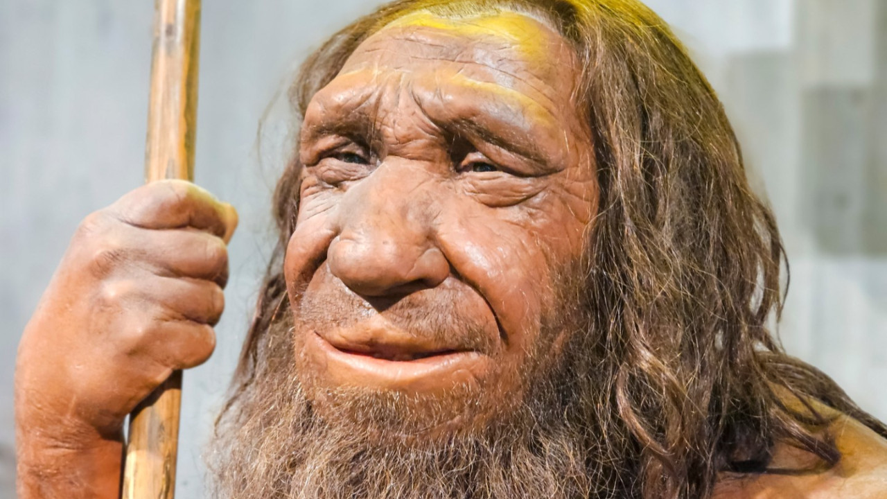 Neandertallerle ilgili ezber bozan keşif