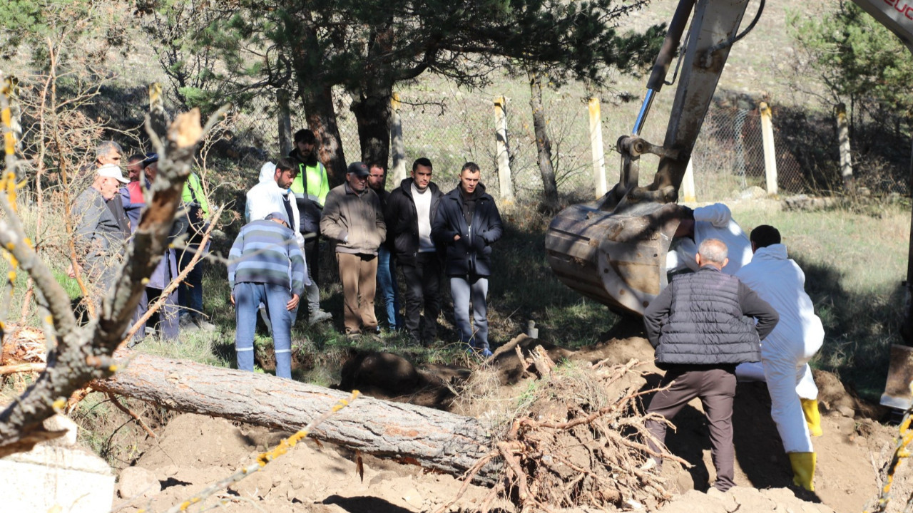 Su altında kalacak mezarlıktaki kabirler taşınıyor