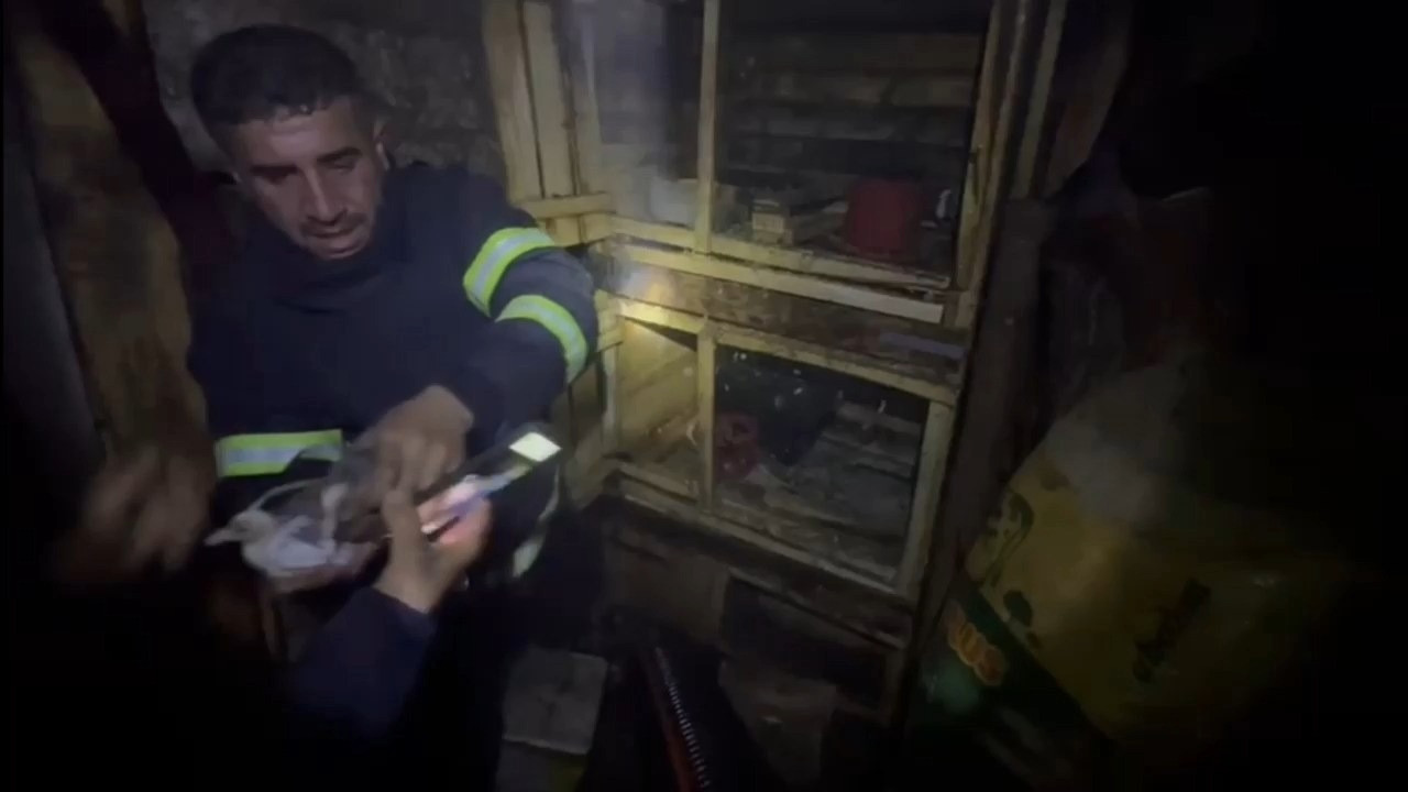 Herkes seferber oldu: Yangında mahsur kalan güvercinler kurtarıldı