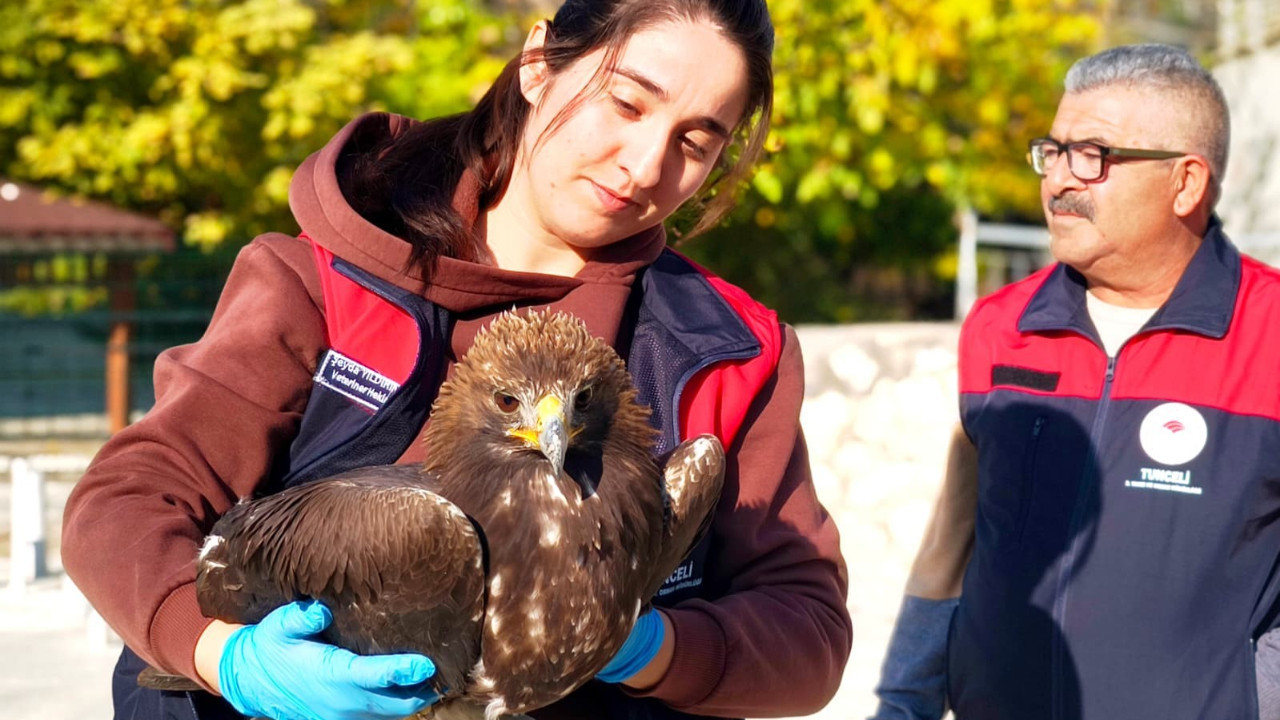 Yaralı kartalın imdadına vatandaşlar yetişti