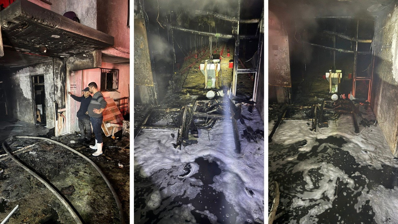 5 bin civciv yangında can verdi