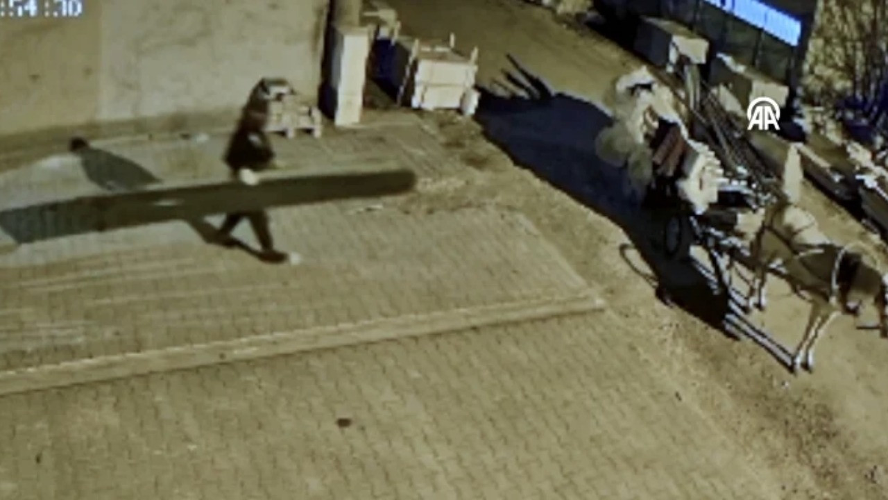 At arabasıyla hırsızlık