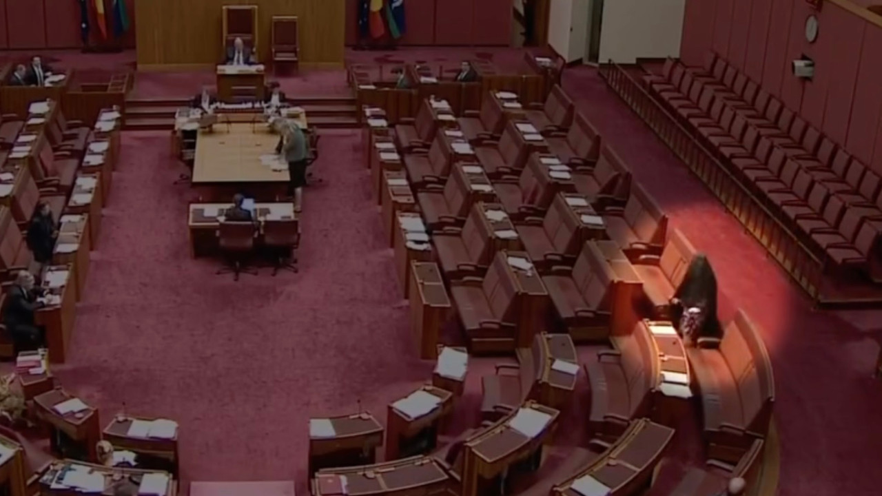 Avustralyalı siyasetçi burkayla parlamentoya girdi, tepki çekti