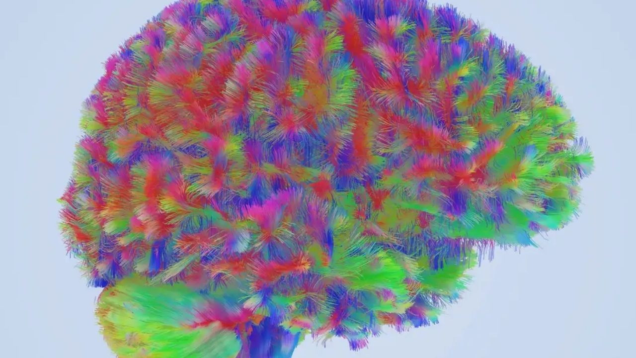 Bilim insanları insan beyninin gelişimini haritalandırdı: İşte dört kritik yaş