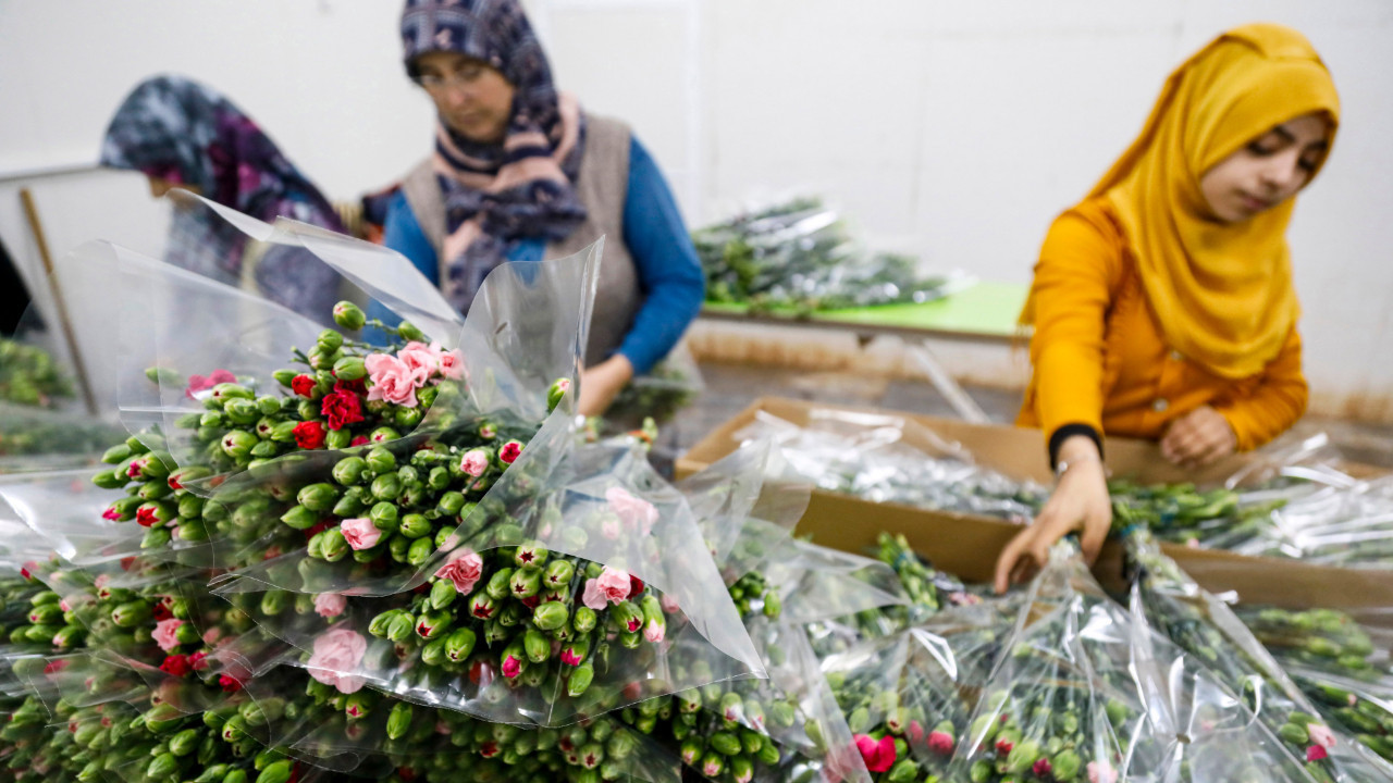 İhracatı yasak çiçekler belirlendi