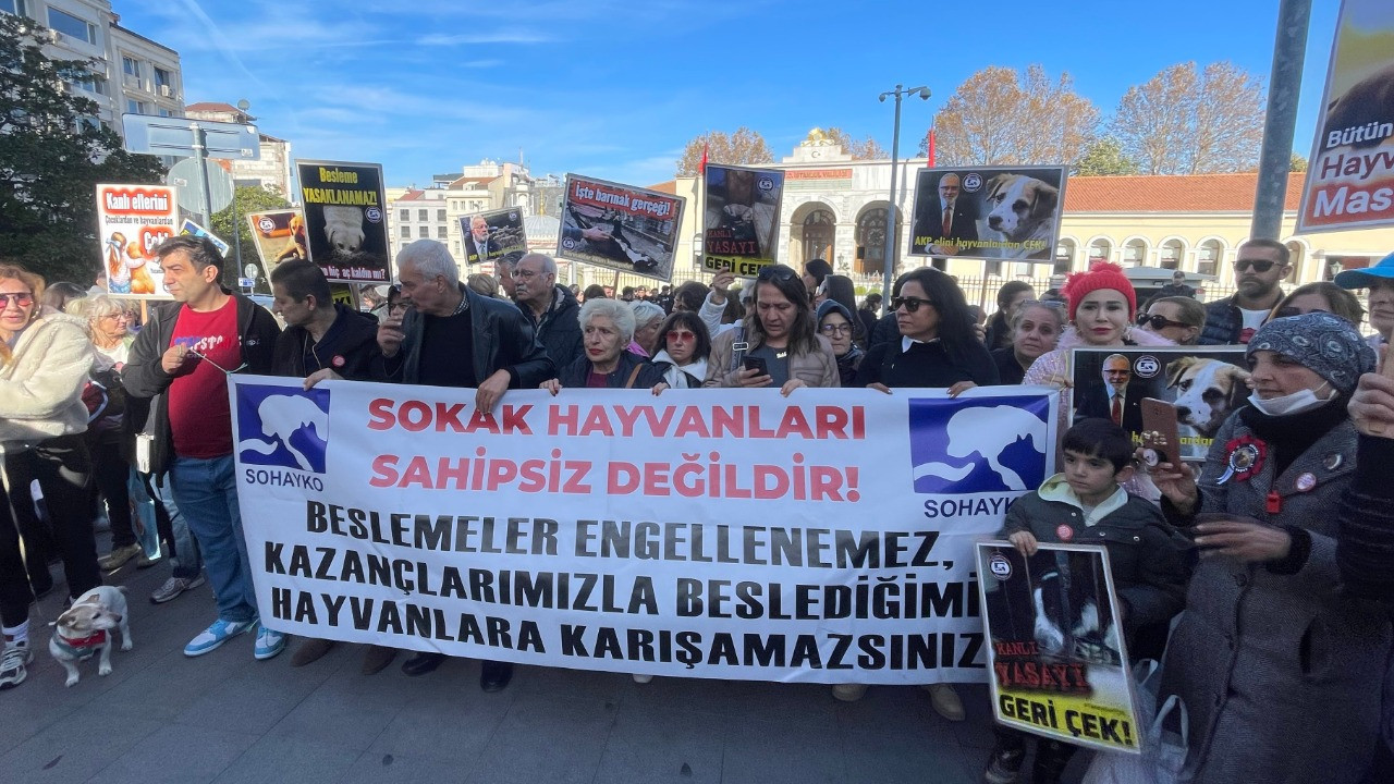 İstanbul Valiliği'nin sokak hayvanları genelgesine yurttaşlardan tepki
