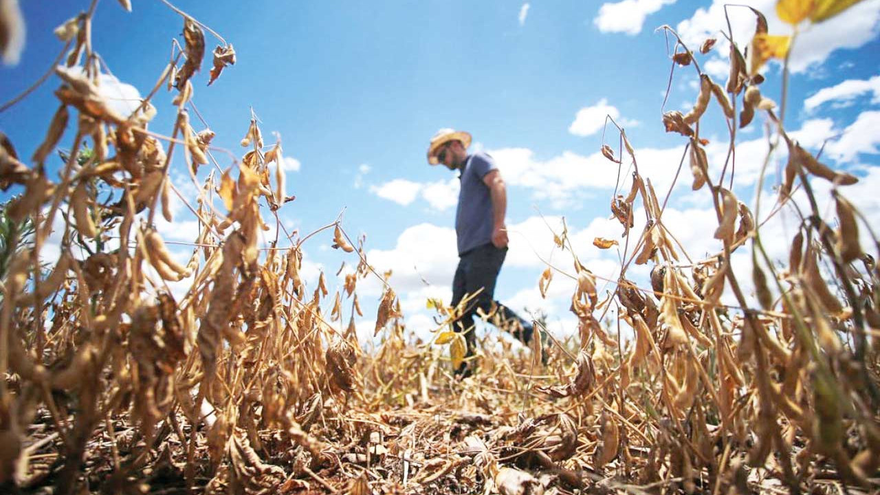 Kuraklık fiyatları artırabilir